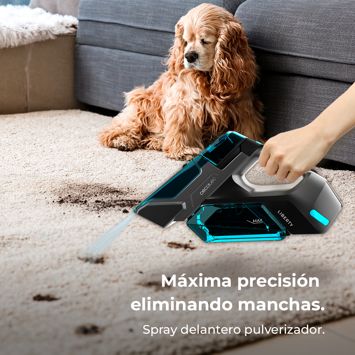 Conga MotorHand Carpet&Spot Clean 2000 | Envío gratis y mejor precio garantizado – foto detalle 5